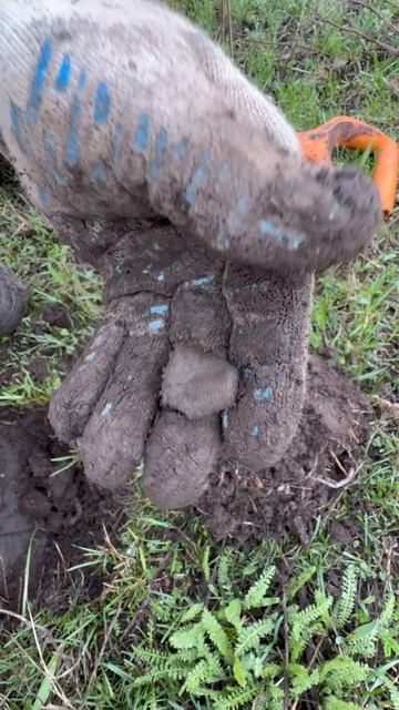 Подписывайся!