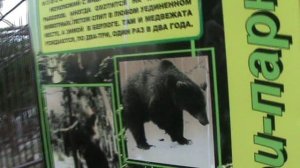 88)ГЕЛЕНЖИК САФАРИ ПАРК(2015 ГОД0