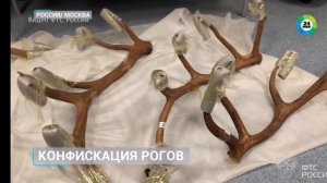 Телеканал «Мир 24», программа «Новости», 15.04.2026