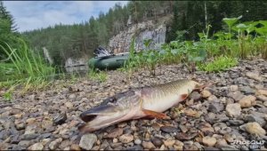 День на реке Каква.