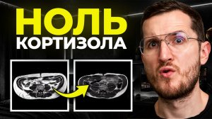 Это Приведет Вас к 0% Висцерального Жира За 30 дней (снижает уровень кортизола)