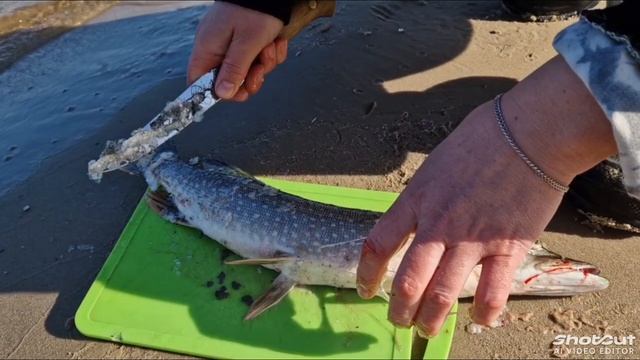 Осень рыбалка ХМАО.