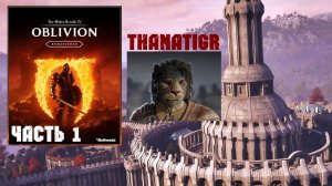 TES IV: Oblivion Remastered📜Кот-ассасин | Часть 1