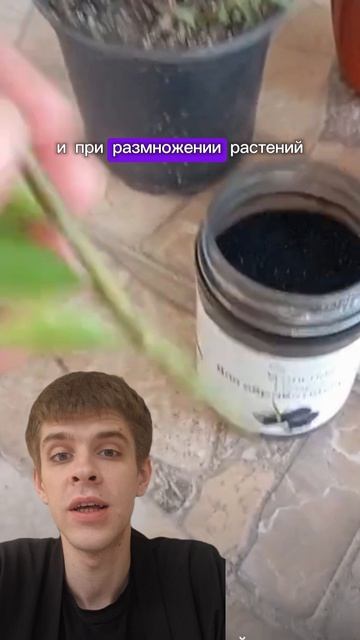 интересная находка на вайлдберриз 