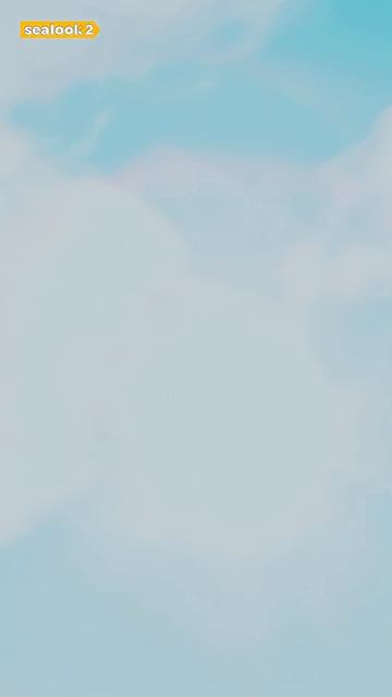 Морские Котики Путешествую во сне 