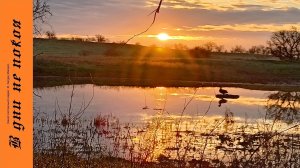 2026 Весенняя охота