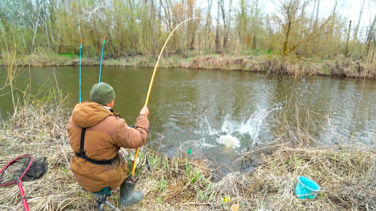 РЫБАЛКА КАК В ДЕТСТВЕ!! ТОЛЬКО БАМБУК, ПОПЛАВОК ПЕРО И ОГРОМНЫЕ КАРАСИ НА УДОЧКУ И ДОНКИ