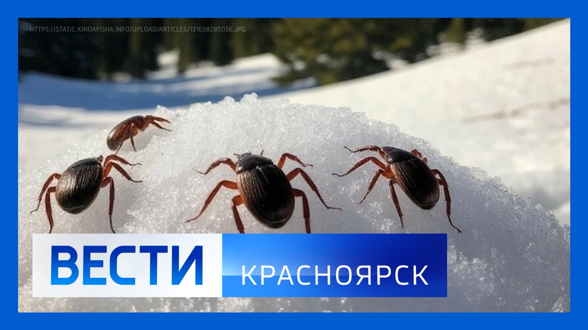 Вести. Красноярск от 16.04.2026