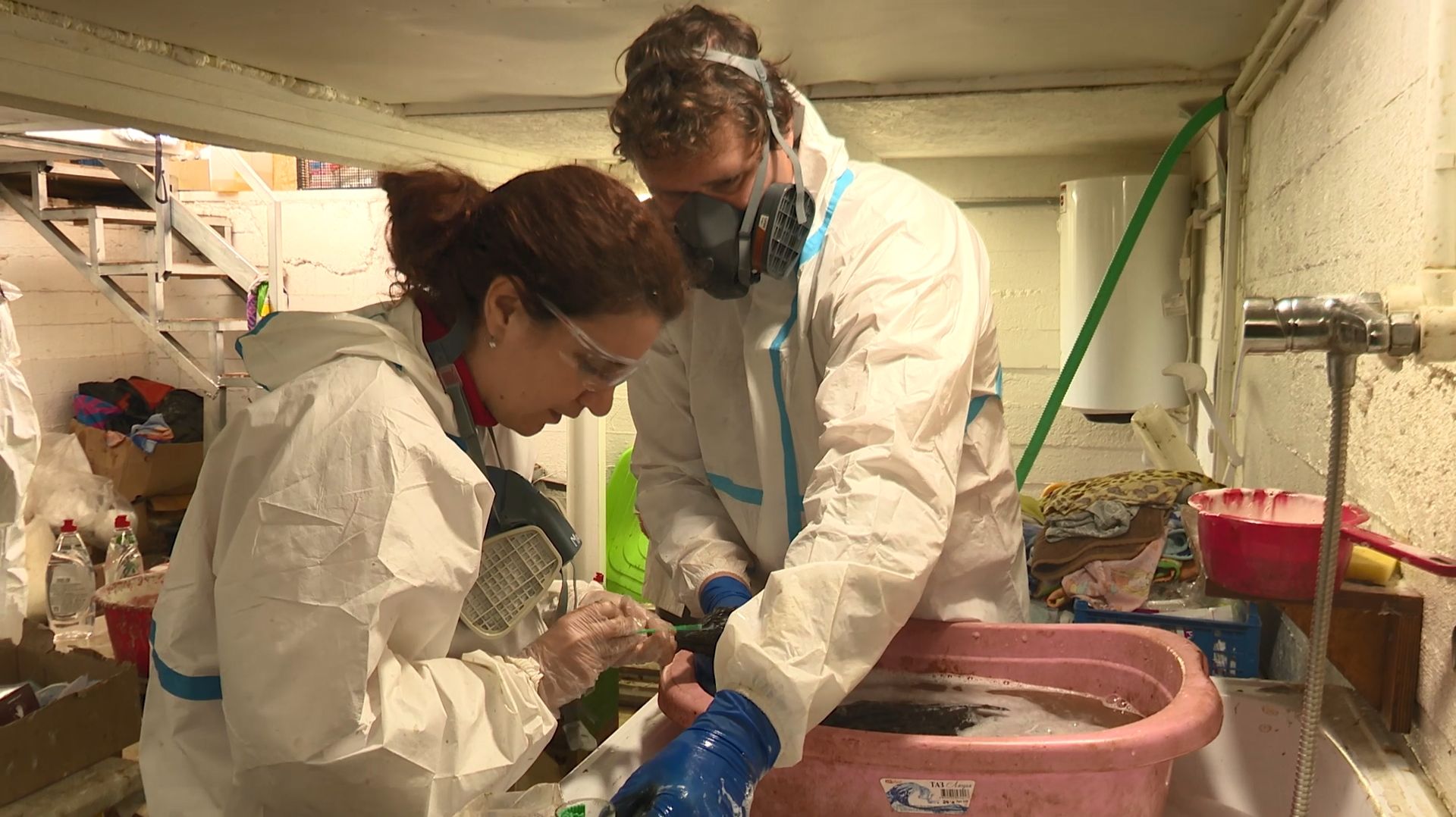 Реабилитация птиц в Витязево: чистка, мойка, сушка