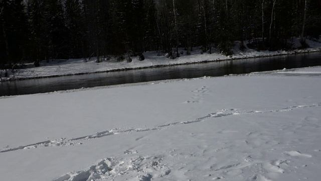 Весна в Саянах 2026 год