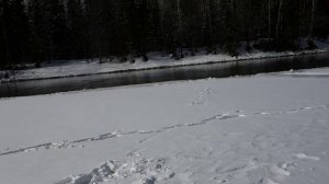 Весна в Саянах 2026 год