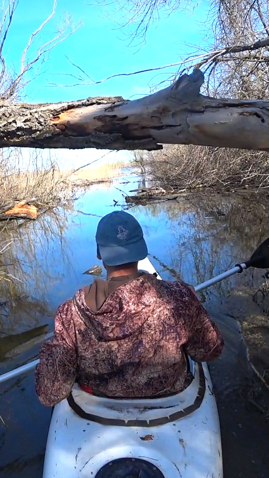 СЕКРЕТНОЕ МЕСТО СКРЫТОЕ ОТ ГЛАЗ. Рыбалка. #астраханскийклев