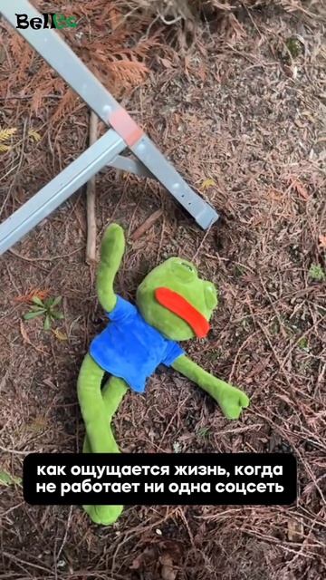 Сервисный центр Севастополь