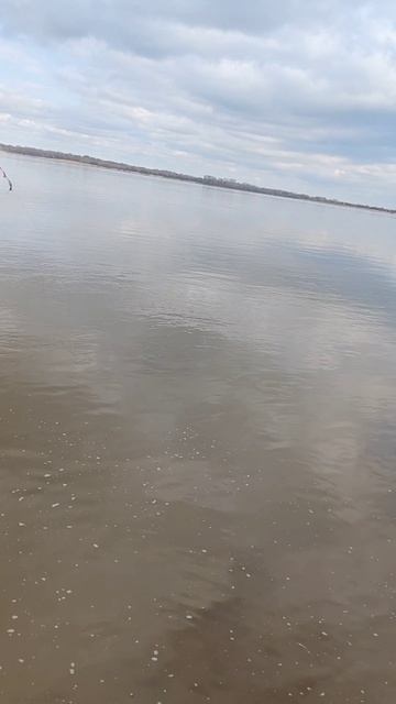 рыбалка подпишитесь пожалуйста 