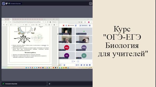 Сократительные вакуоли