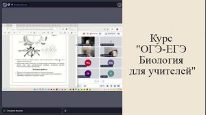 Сократительные вакуоли