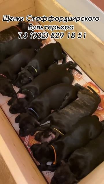 16 апреля 2026 г.