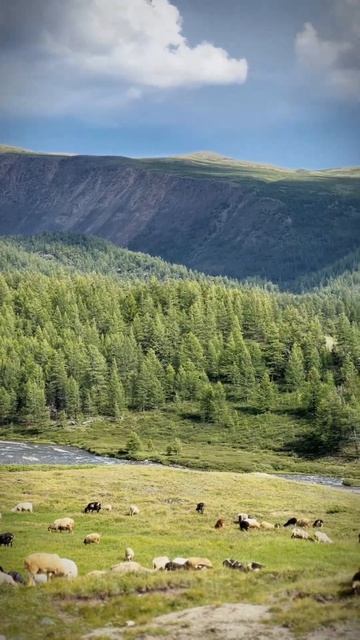 С днём рождения!