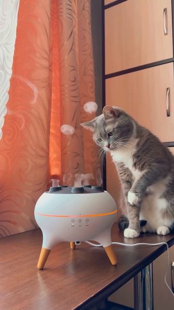 Согласны — очень залипательная штуковина?