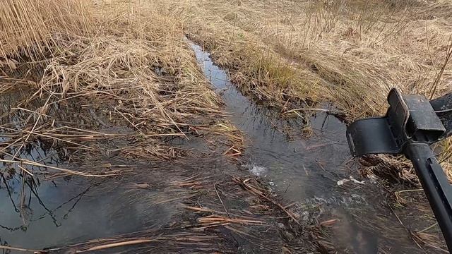 Ищу артефакты домонгольского периода и серебряные монеты!