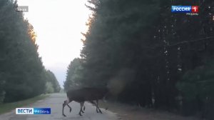 Эфир от 16.04.2026 (09:30)