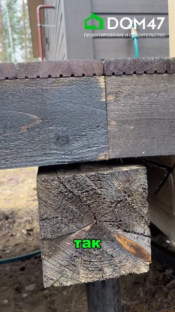 Силы природы на участке