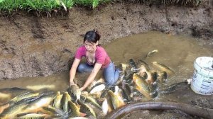Умелые приемы рыбной ловли. Ловлю рыбу с помощью водяных насосов. Жизнь во Вьетнаме