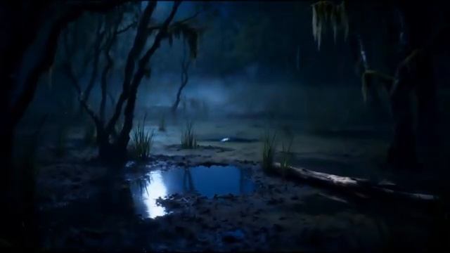 Иван-дурак и Кикимора Наташа get.gt