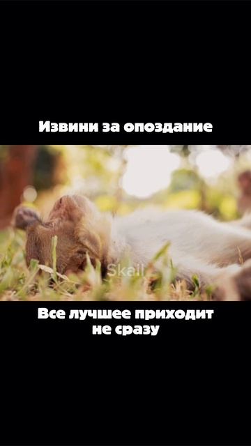 Когда жиза на работе\учебе 🤪#жиза #работа #врек #мем #тренд #лайк #like #meme #rofl #office #work #l