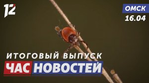 Опасность укусов клещей / ДТП с детьми / Диктант для всех. Новости Омска