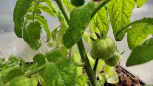 15 апрель 26 Нижний Новгород Дачный Влог