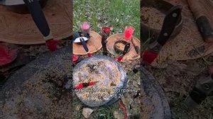 Что такое магия? Приворот. Любовная магия. Сила воздействия. Законы магии.