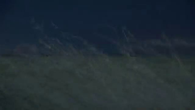 День равный всем годам. Полтавская битва