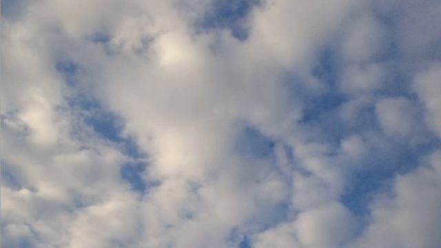 Твердыни. Как их распознать?