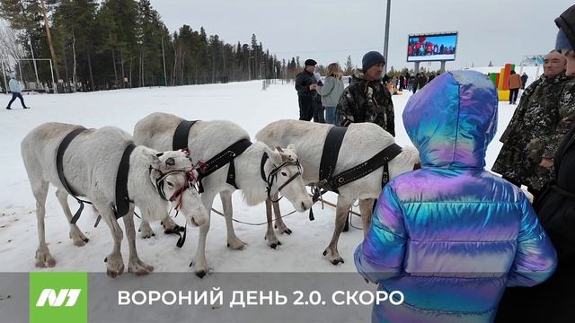 «Вороний день». Нижневартовск