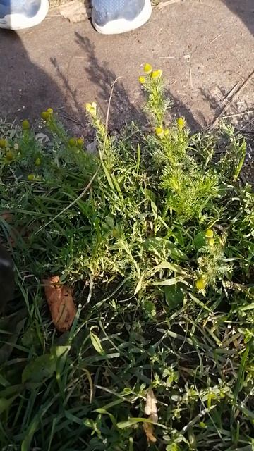 юююююююююю