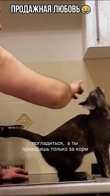 Продажная любовь 