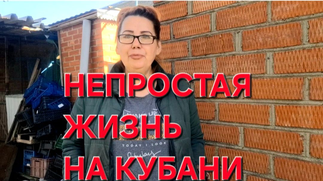 1178 Это не просто. Каждый день настраиваю себя. Работаем до темна. Она побеждает.