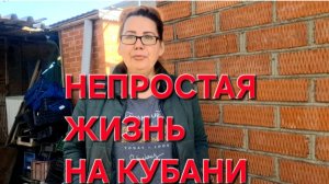 1178 Это не просто. Каждый день настраиваю себя. Работаем до темна. Она побеждает.
