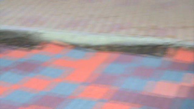 63ГЕЛЕНЖИК САФАРИ ПАРК2015 ГОД