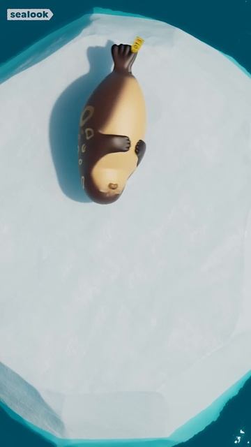 Морские Котики Что будет дальше 💥