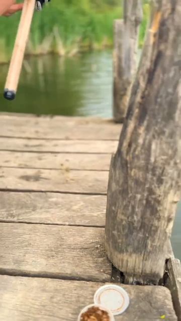 А вы скучаете по рыбалке с поплавком