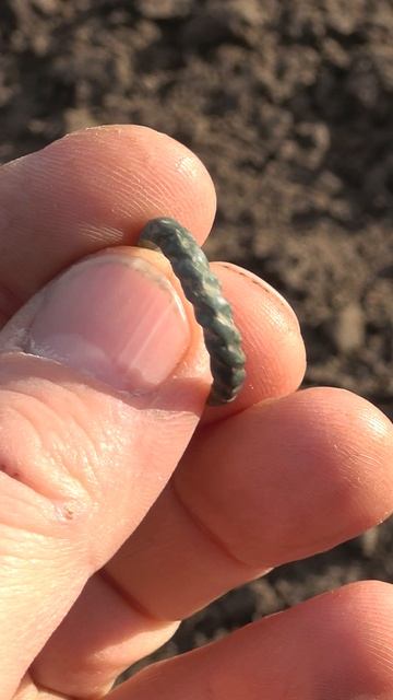 Первые находки 2026 года #shorts #сезон2026 #первыенаходки  #metaldetecting #металлоискатель