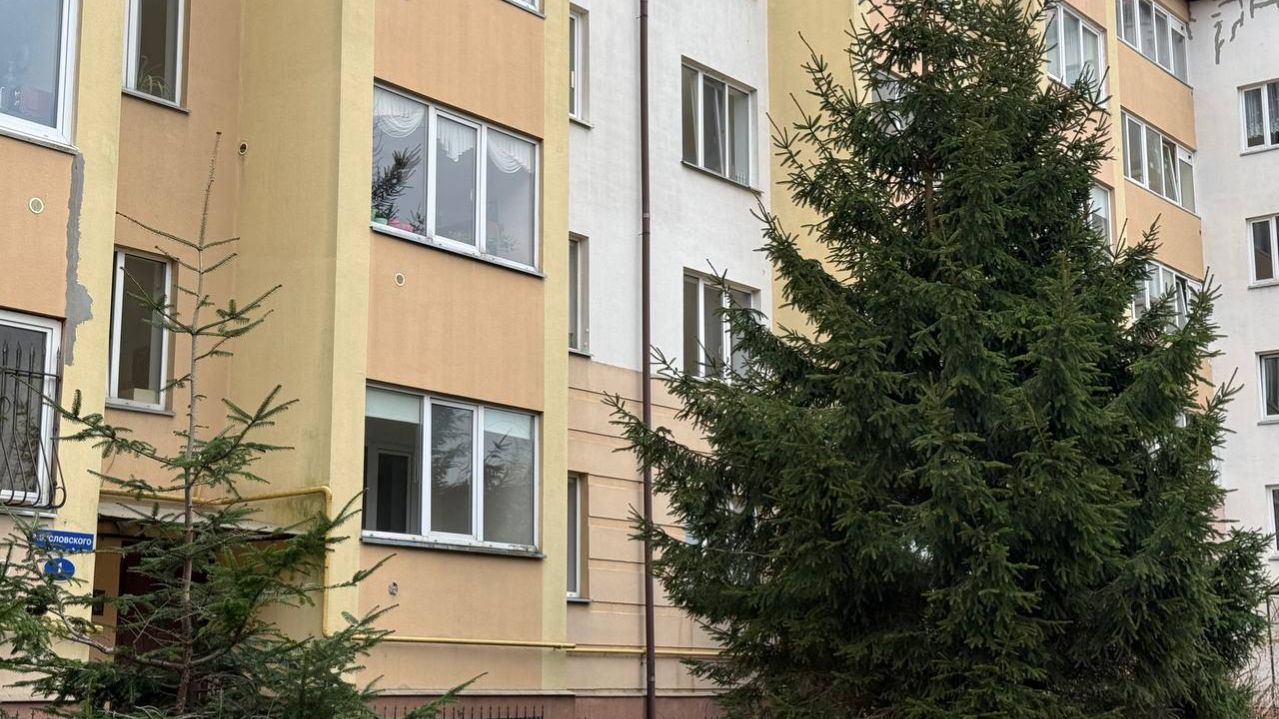 Вид во дворе