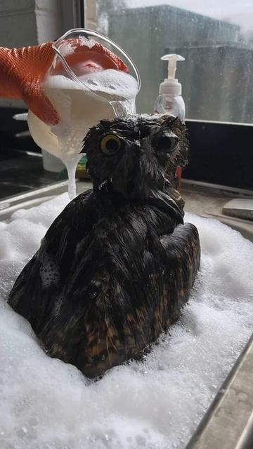 VID_20260416_072824_325.mp4