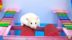 Хомячок убегает из опасного лабиринта огненных шаров! часть 10