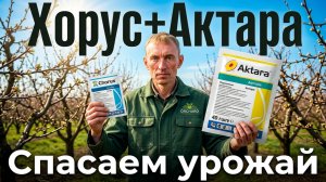 Третья обработка сада Хорус+Актара