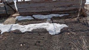 Мой огородик🙃🥰