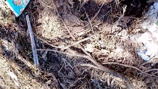 мы ели как разбили бутылку водки