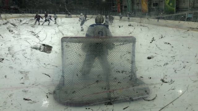 ОБЗОР / ЛЬВЫ НЕВЫ - ДИНАМО ДВУХ СТОЛИЦ / 09.04.2026 / ОХЛ САНКТ-ПЕТЕРБУРГ / ДИВИЗИОН ЛЮБИТЕЛЬ 31